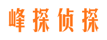 新密市调查公司